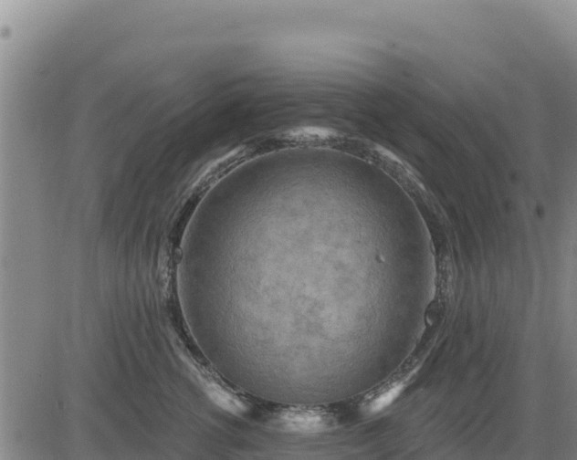 X0000084600762200703021625