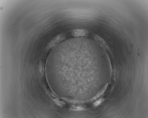 X0000084600763200703021625