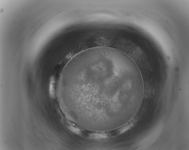 X0000084600765200703021625