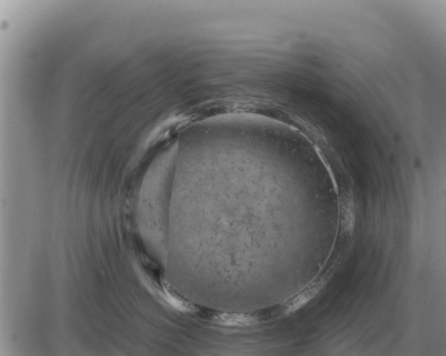 X0000084600766200703021625