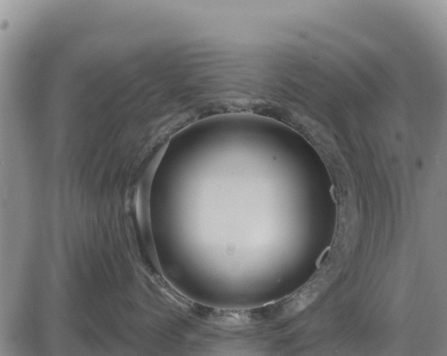 X0000084600768200703021625