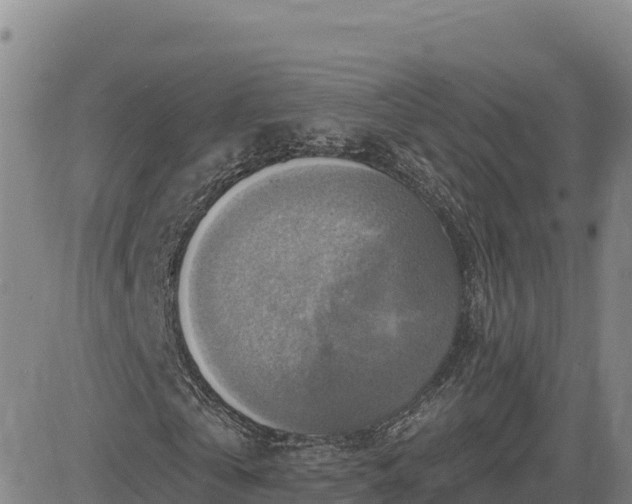 X0000084600769200703021625