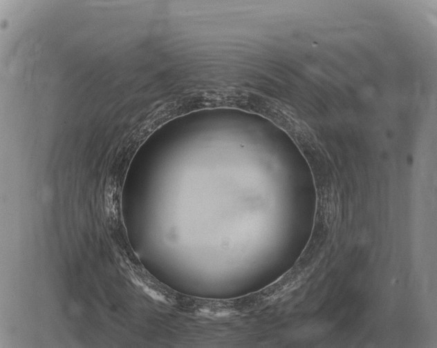 X0000084600770200703021625