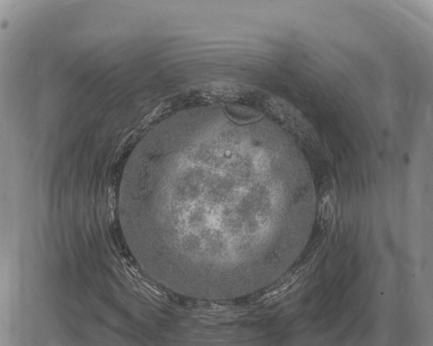 X0000084600772200703021625