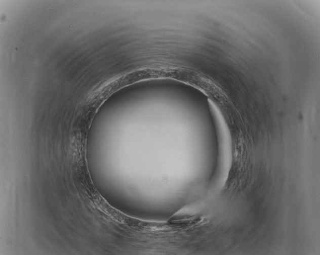 X0000084600773200703021625