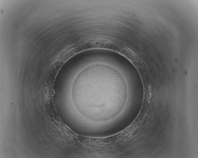 X0000084600774200703021624