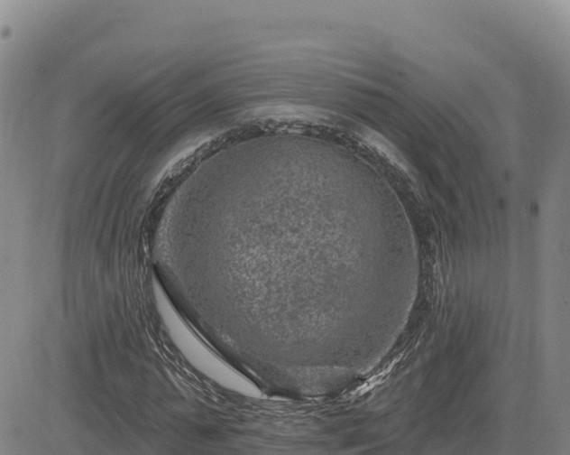 X0000084600775200703021624