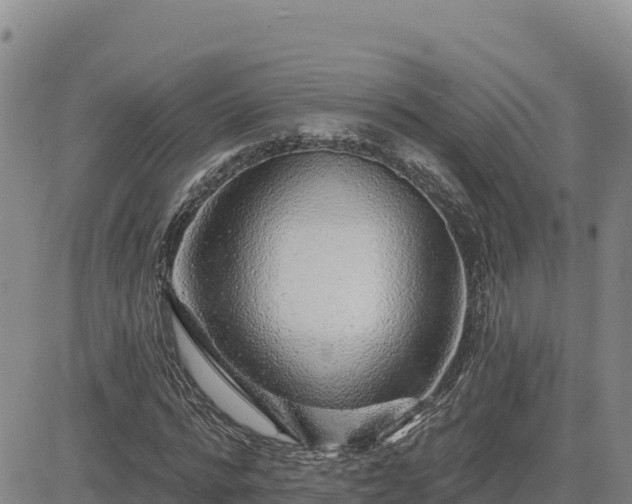 X0000084600776200703021624