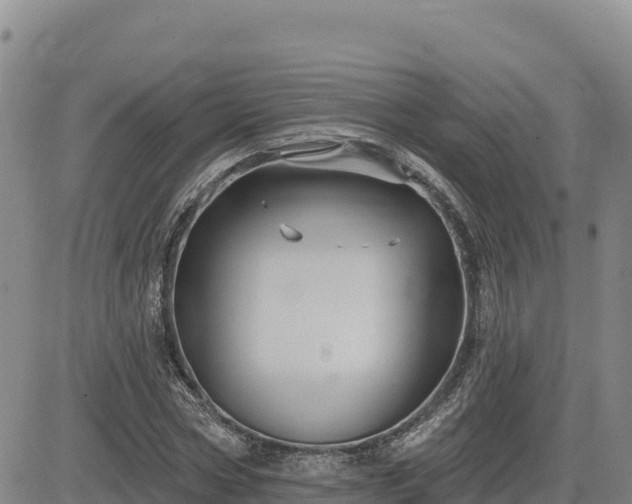 X0000084600778200703021624