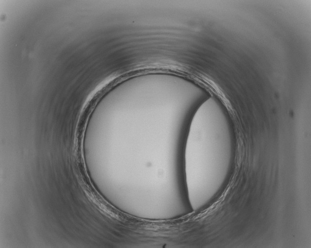 X0000084600780200703021624