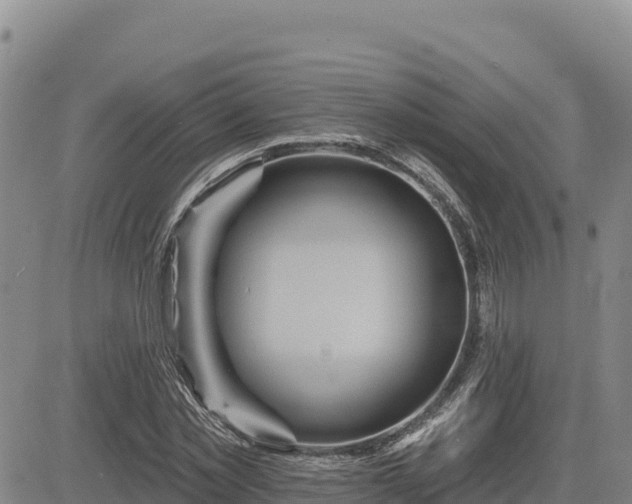 X0000084600781200703021624