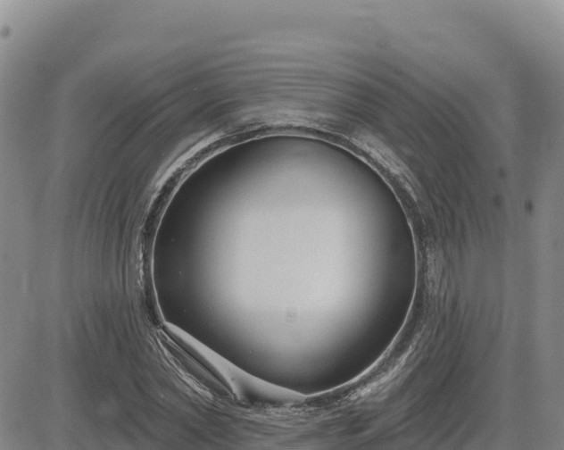 X0000084600782200703021624