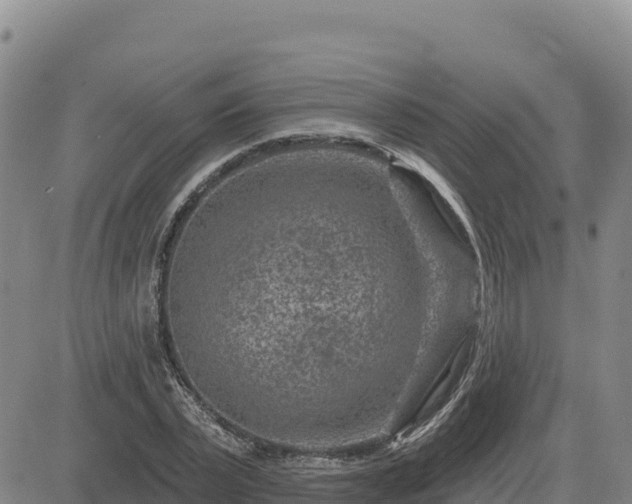 X0000084600783200703021624