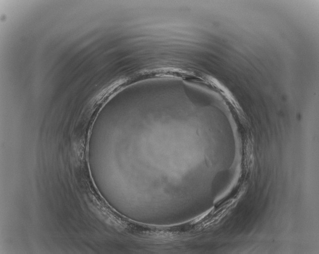 X0000084600785200703021624