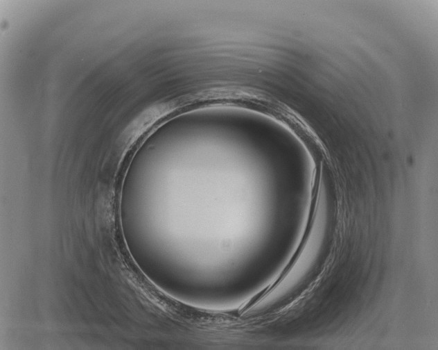 X0000084600786200703021624