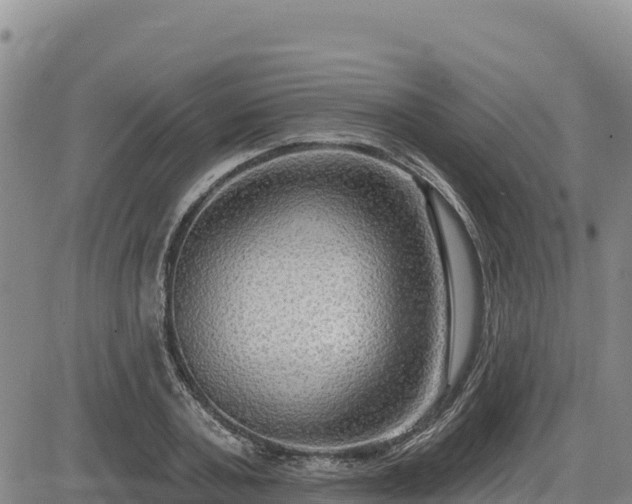 X0000084600787200703021624