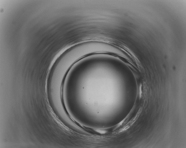 X0000084600788200703021624