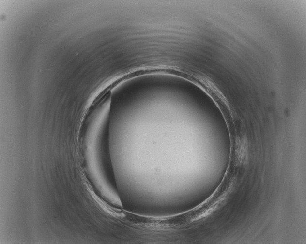 X0000084600789200703021624