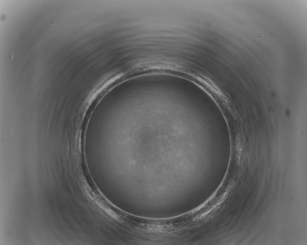 X0000084600790200703021624