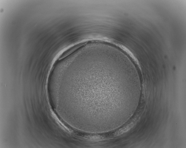 X0000084600791200703021624