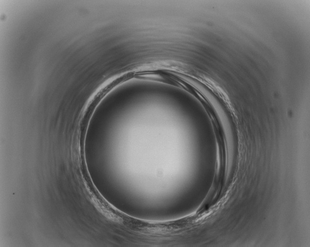 X0000084600792200703021624