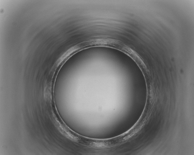 X0000084600794200703021624