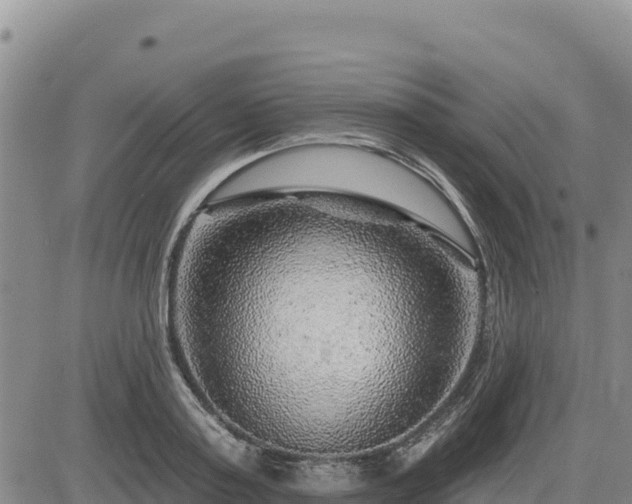 X0000084600795200703021624