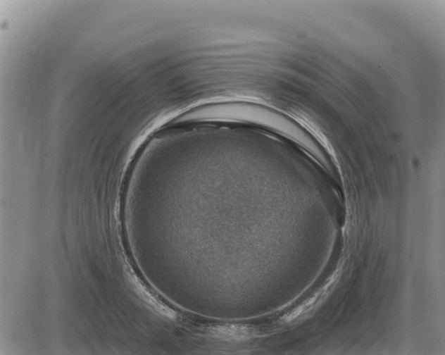 X0000084600797200703021624