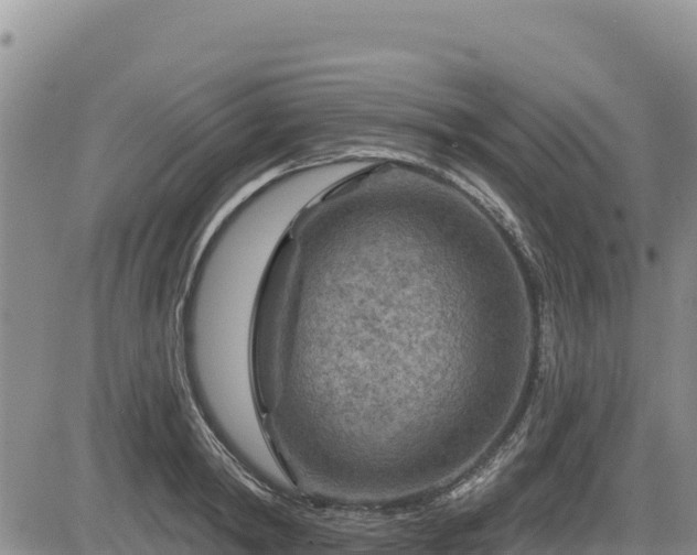 X0000084600798200703021624