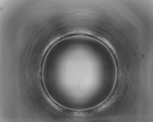 X0000084600799200703021624