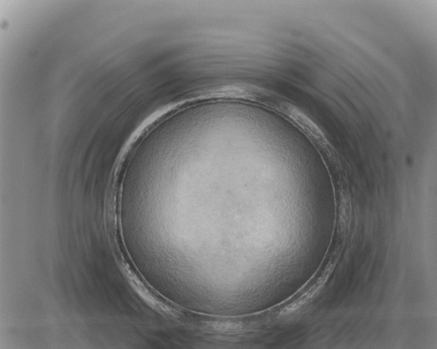 X0000084600800200703021624