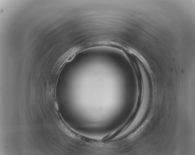 X0000084600801200703021624