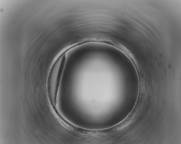 X0000084600803200703021624