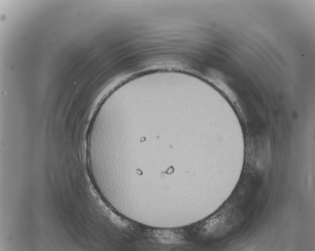 X0000084600807200703021624