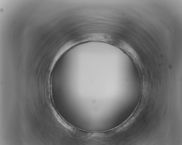 X0000084600808200703021624