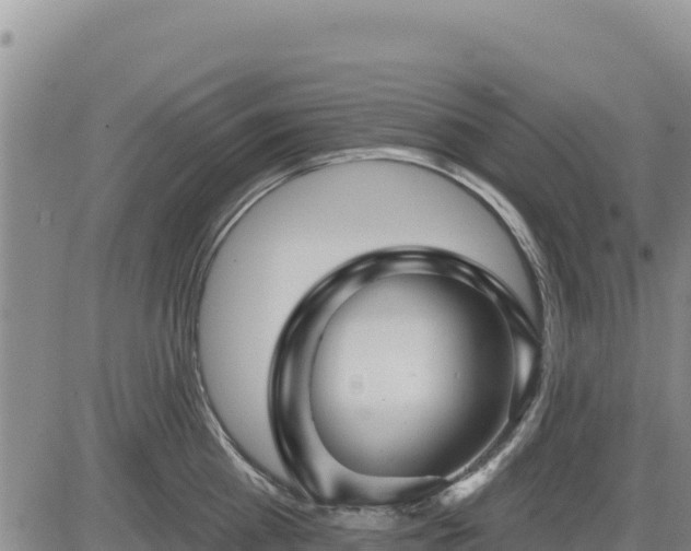 X0000084600809200703021624