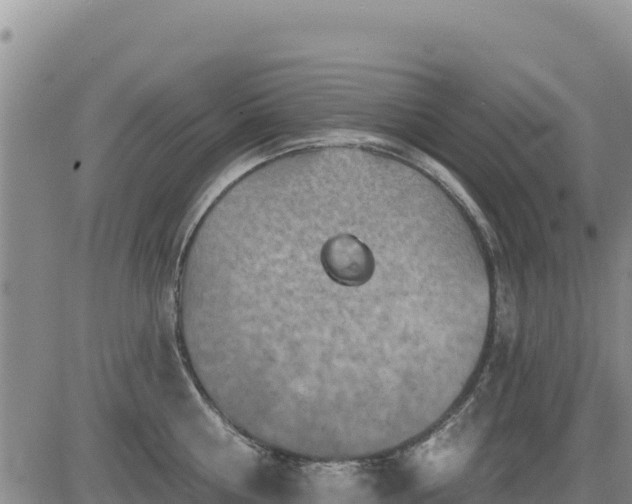 X0000084600810200703021624