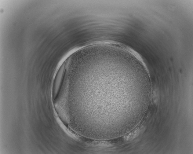 X0000084600811200703021624