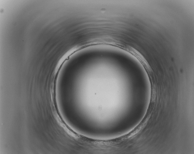 X0000084600812200703021624