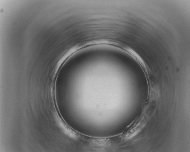 X0000084600813200703021624