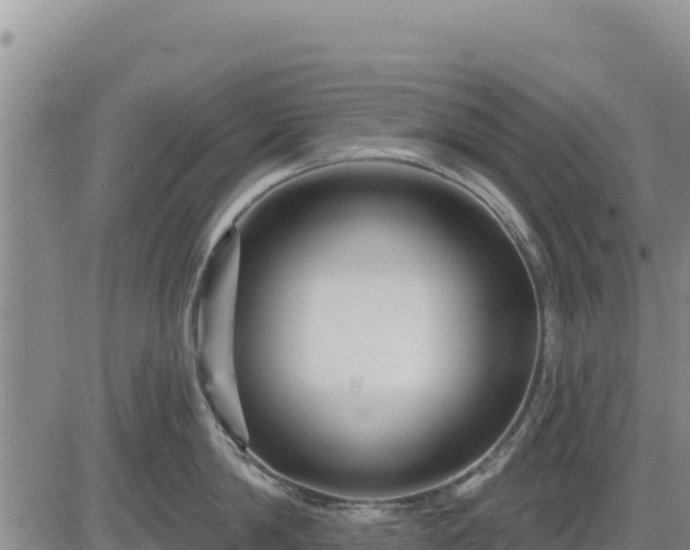 X0000084600814200703021624