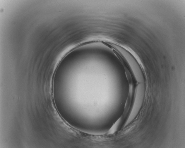 X0000084600815200703021624