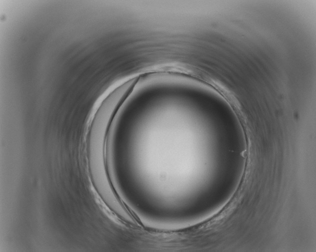 X0000084600816200703021624