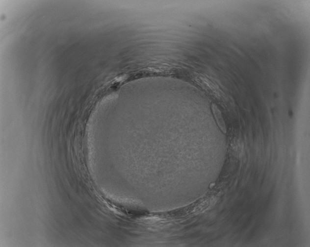 X0000084600817200703021623