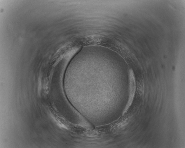 X0000084600818200703021623