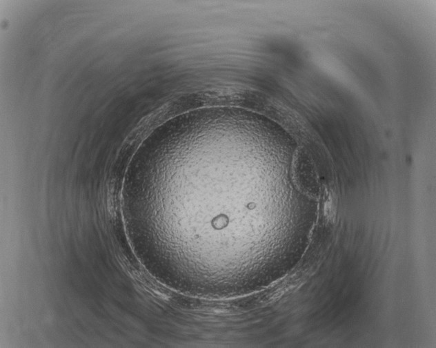 X0000084600819200703021623