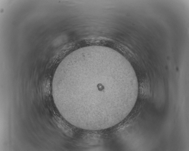 X0000084600820200703021623