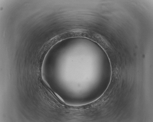 X0000084600821200703021623