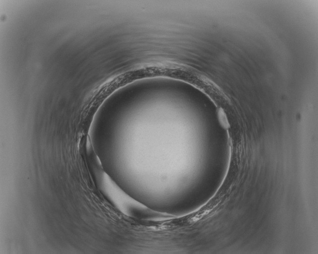 X0000084600822200703021623