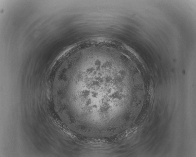 X0000084600823200703021623